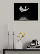 landing Poster och Canvastavla