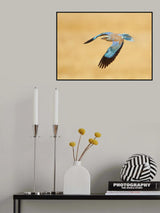 ROLLER Poster och Canvastavla