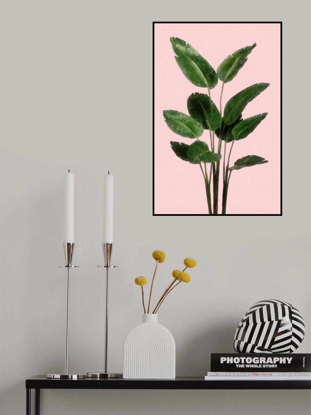 Bird of Paradise Plant on Pink Wall Poster och Canvastavla