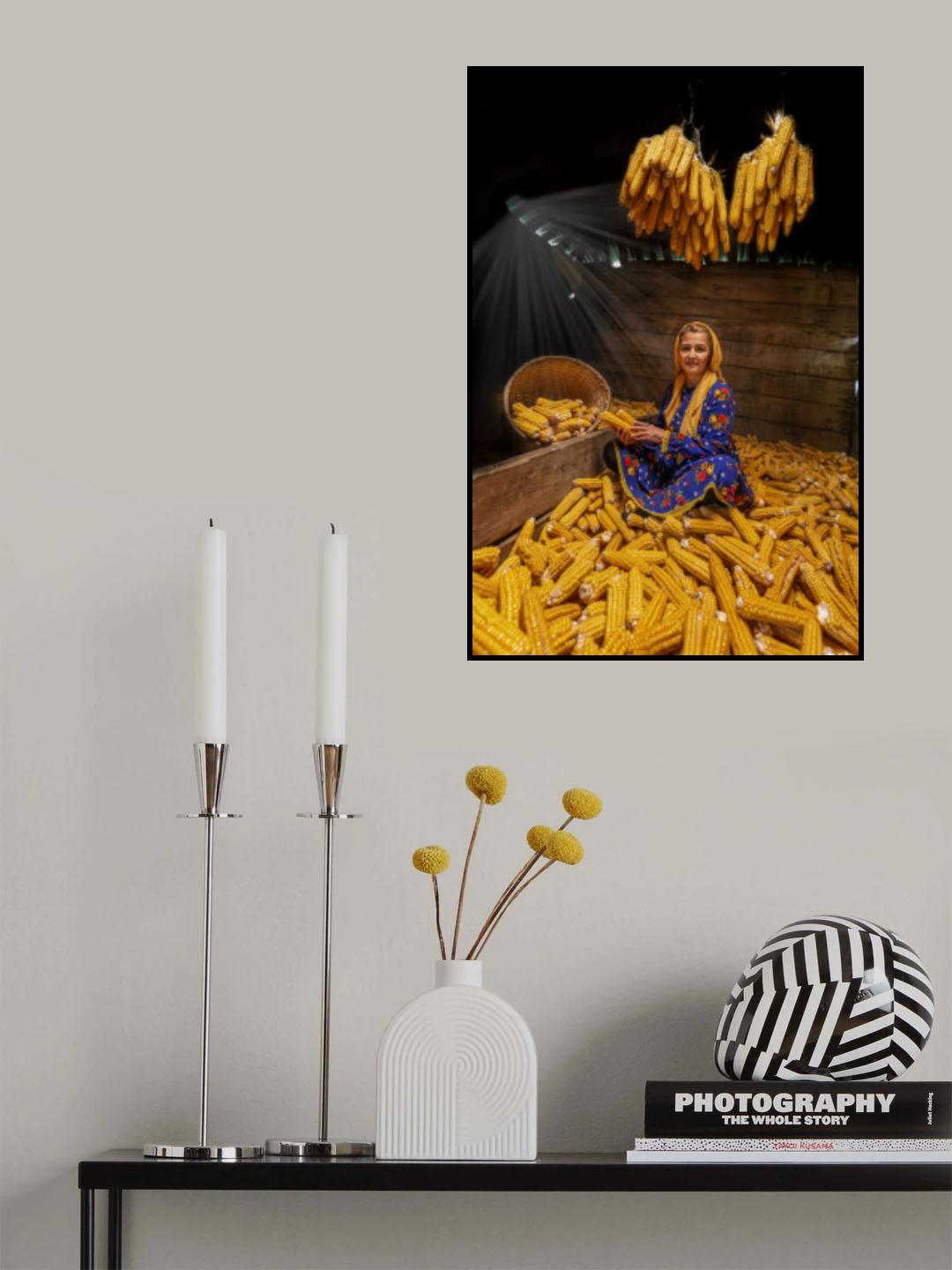 Mısır Poster och Canvastavla