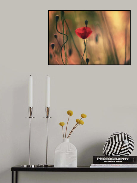 Poster och Canvastavla