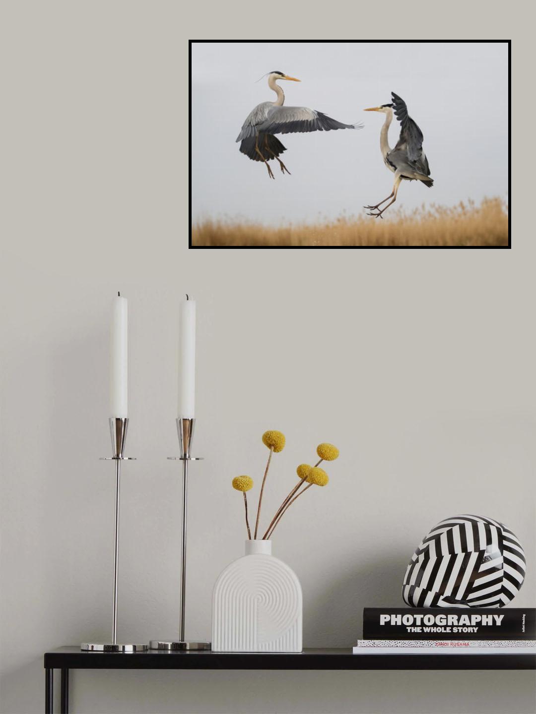 Confrontation Poster och Canvastavla
