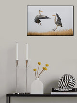 Confrontation Poster och Canvastavla