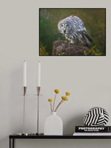 Enjoy the breakfast Poster och Canvastavla