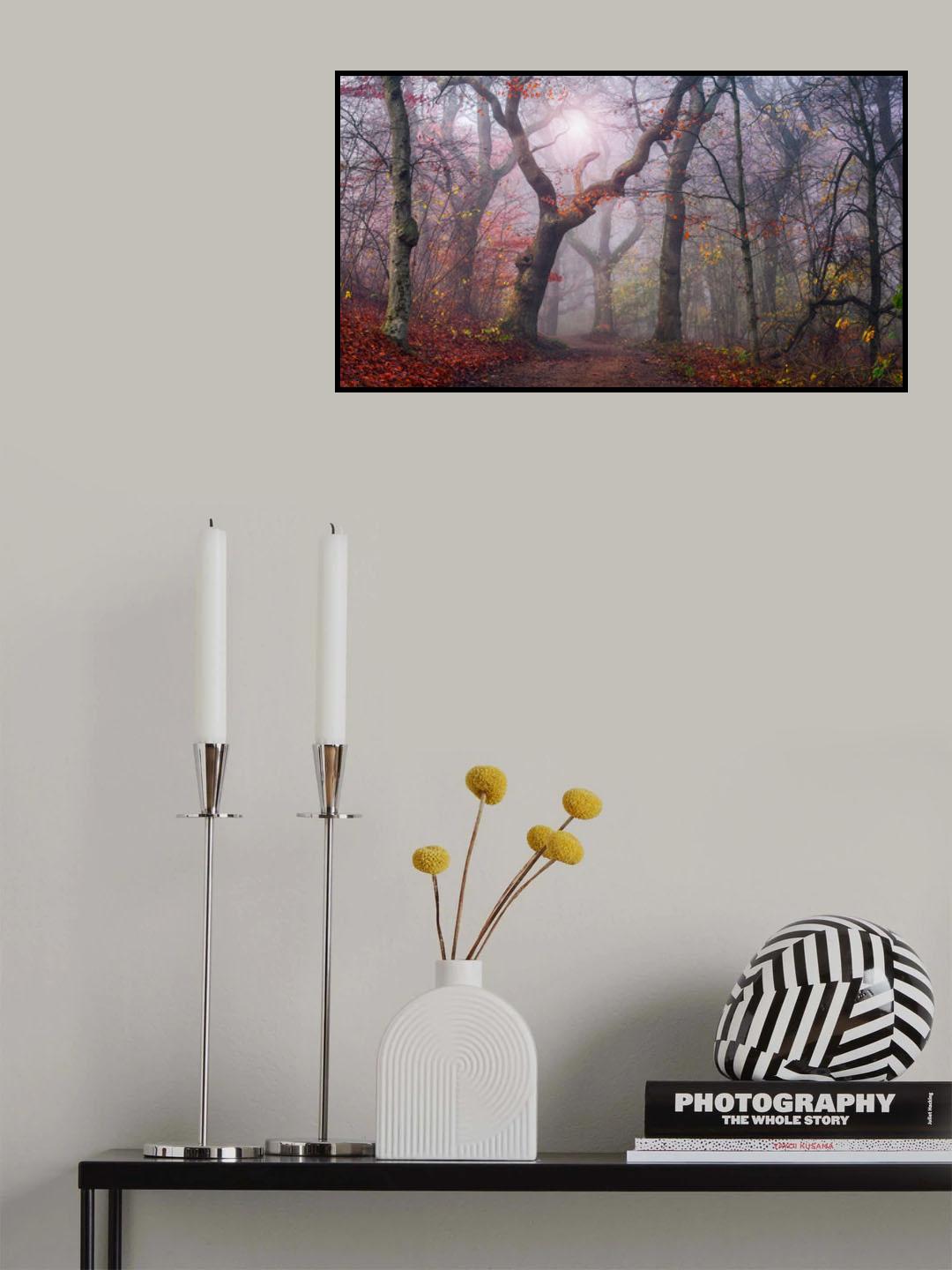 Walking the old path. Poster och Canvastavla
