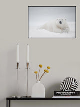 Frozen sleep Poster och Canvastavla
