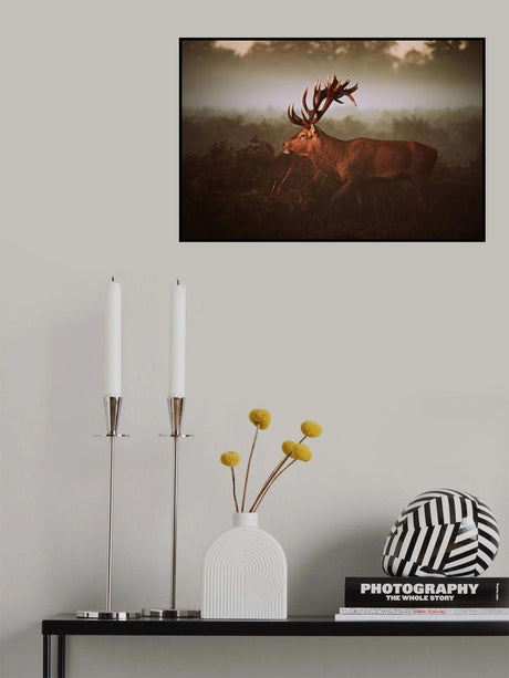 <v> Poster och Canvastavla