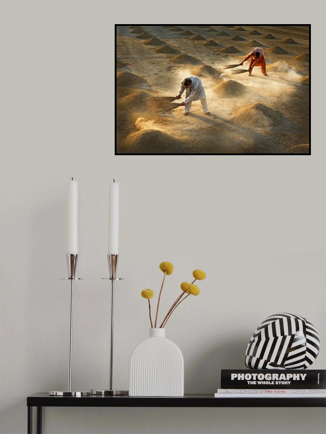 Drying Rice Poster och Canvastavla