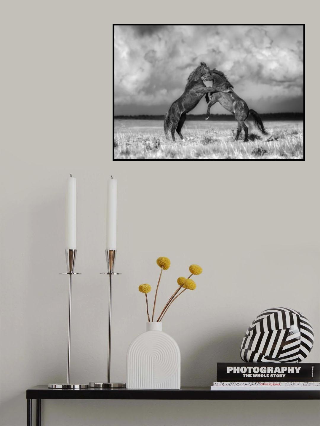 Wild Horses Poster och Canvastavla