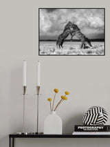 Wild Horses Poster och Canvastavla