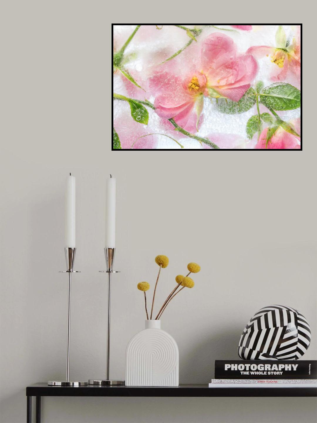 Rosa Poster och Canvastavla