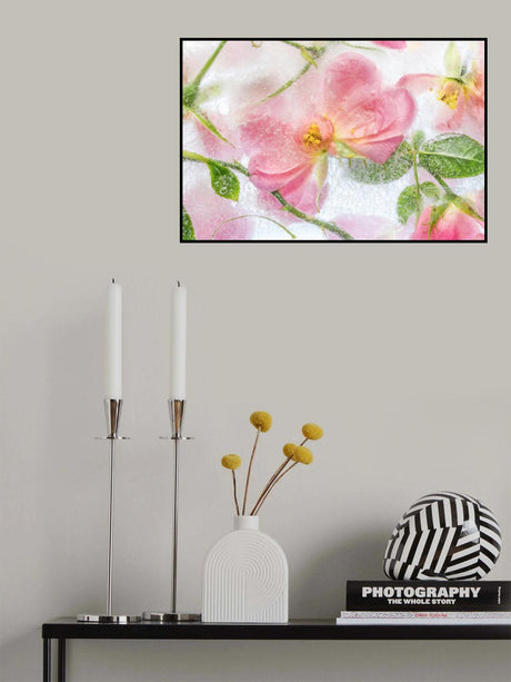 Rosa Poster och Canvastavla