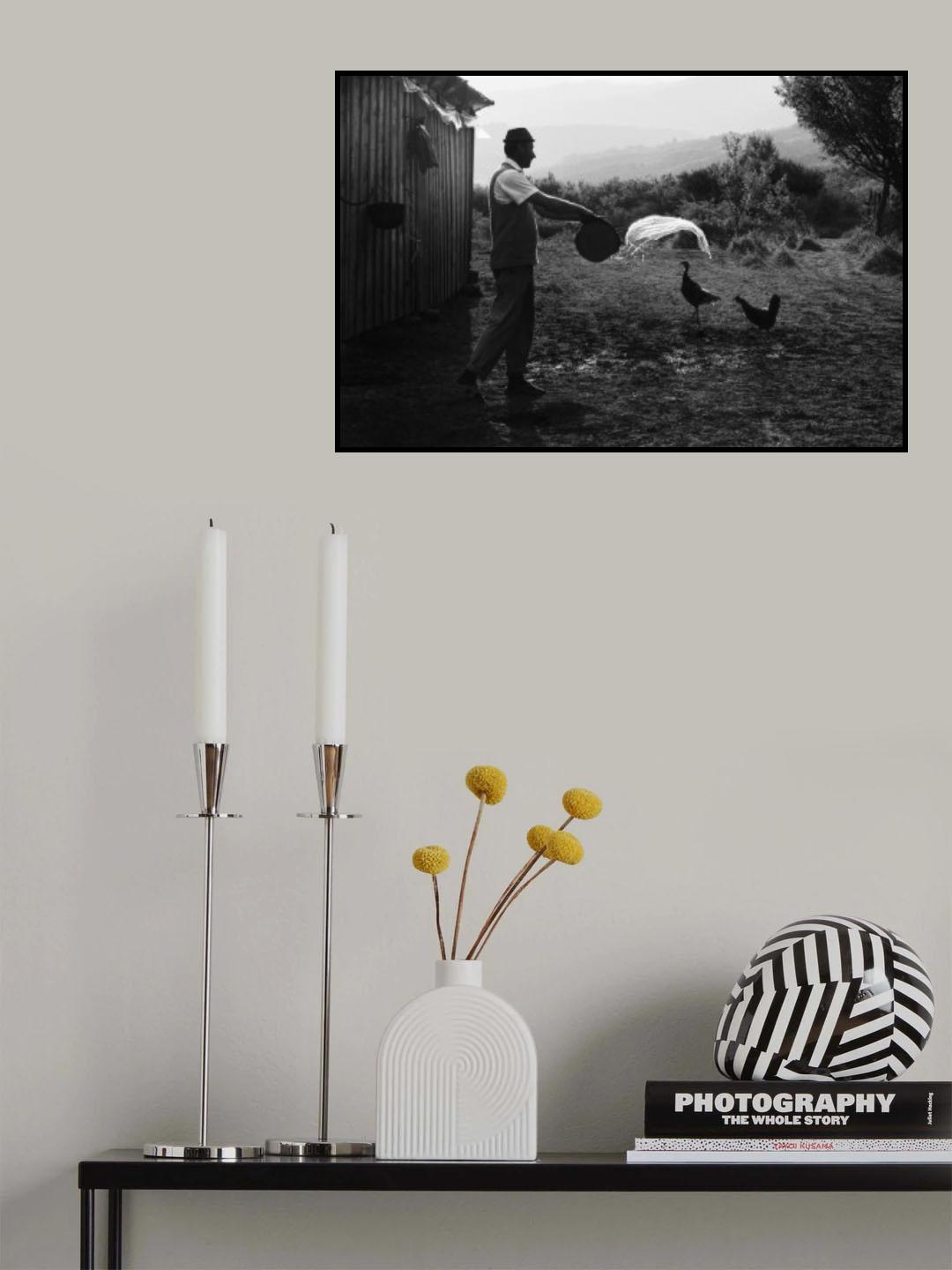 Splash Poster och Canvastavla