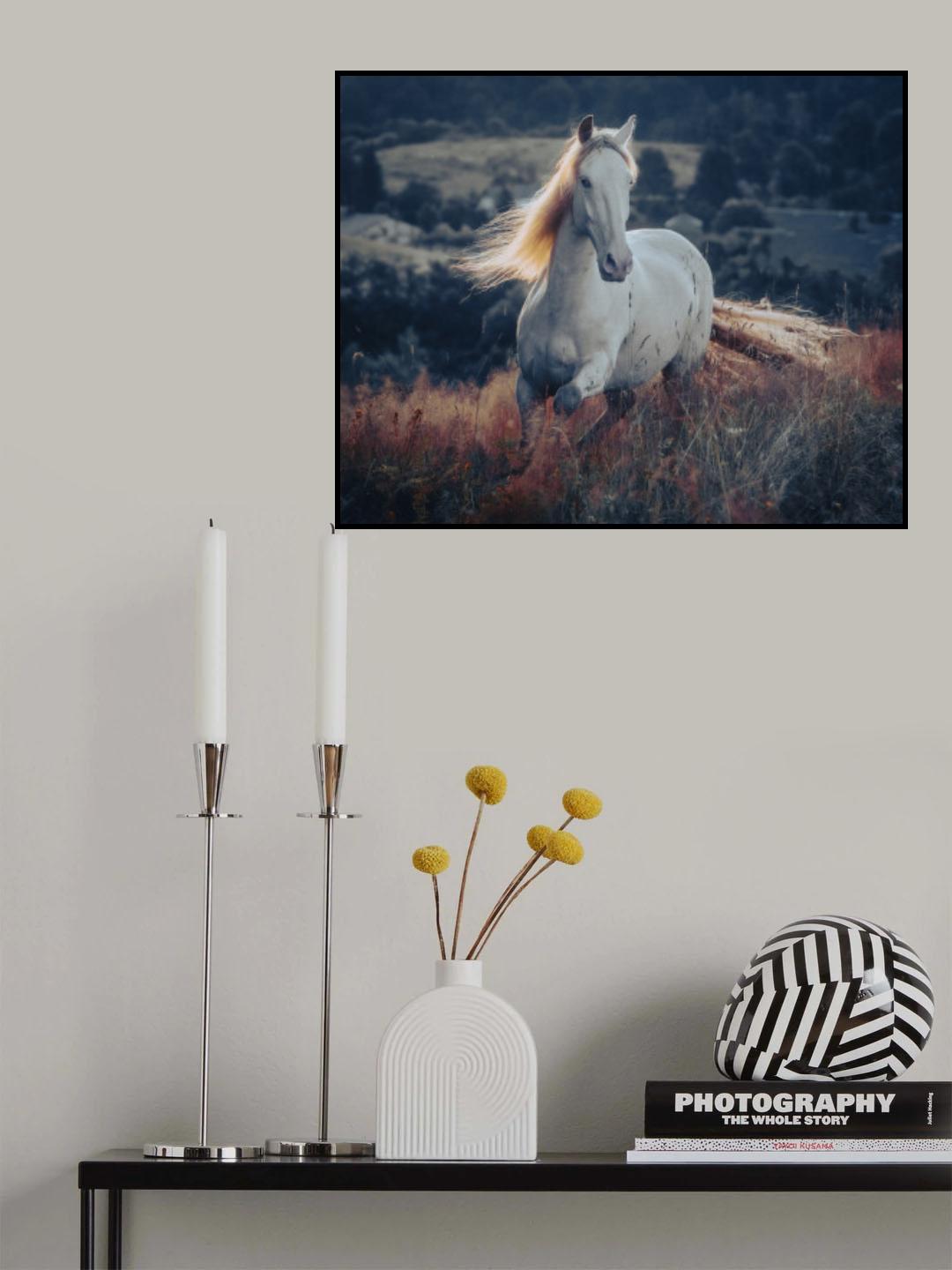 a short story about sunrise Poster och Canvastavla