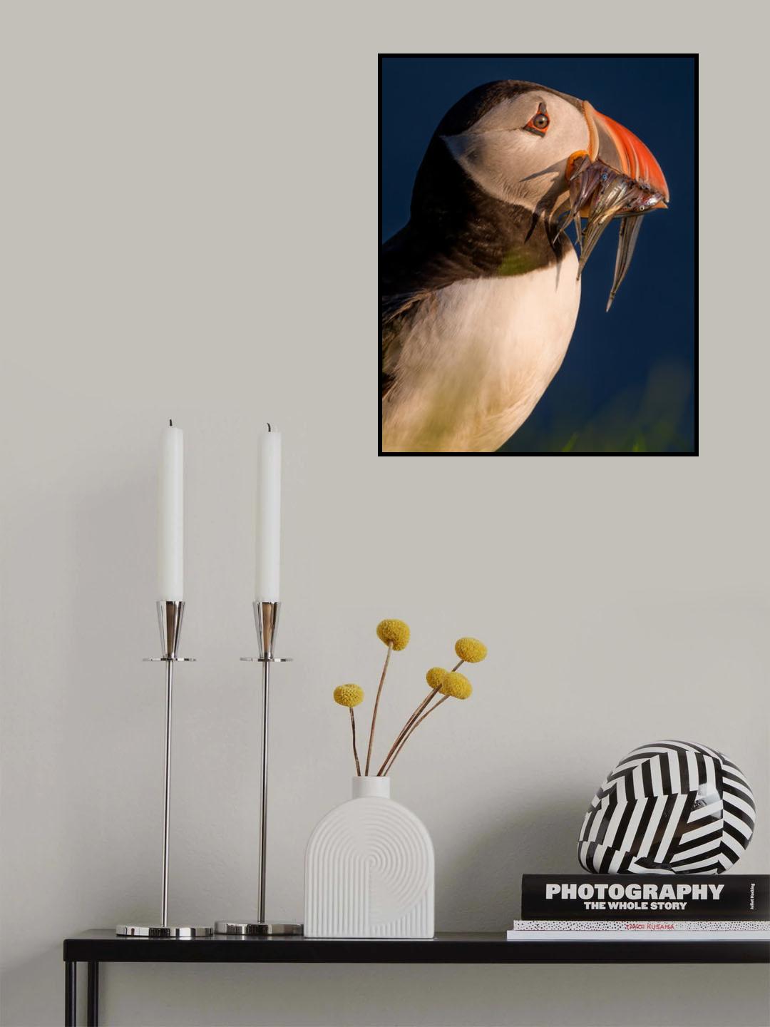 Fishing Champ Poster och Canvastavla