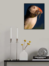 Fishing Champ Poster och Canvastavla