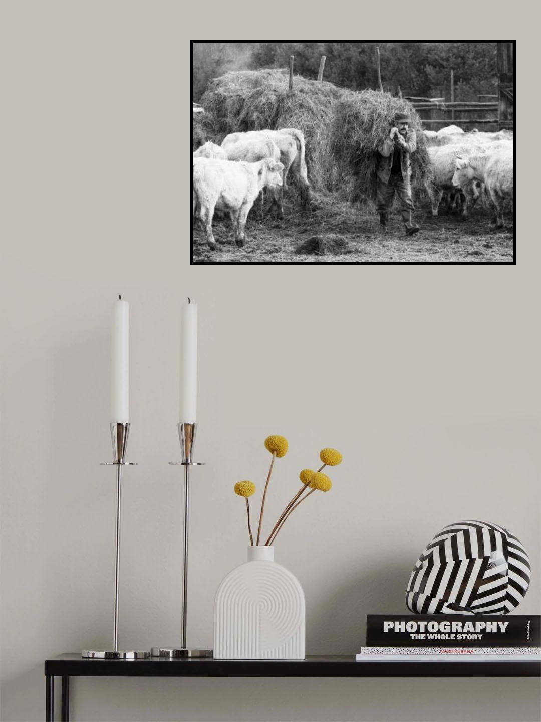 Poster och Canvastavla