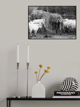 Poster och Canvastavla