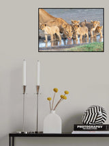At the watering hole. Poster och Canvastavla