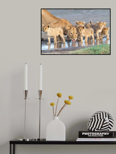 At the watering hole. Poster och Canvastavla