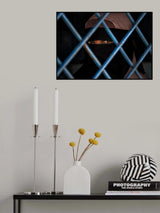 Behind bars. Poster och Canvastavla