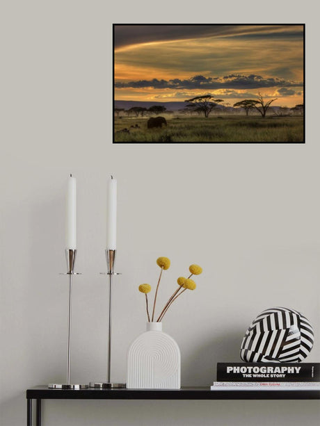 Africa Poster och Canvastavla