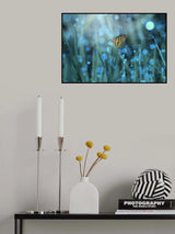 Butterfly Poster och Canvastavla