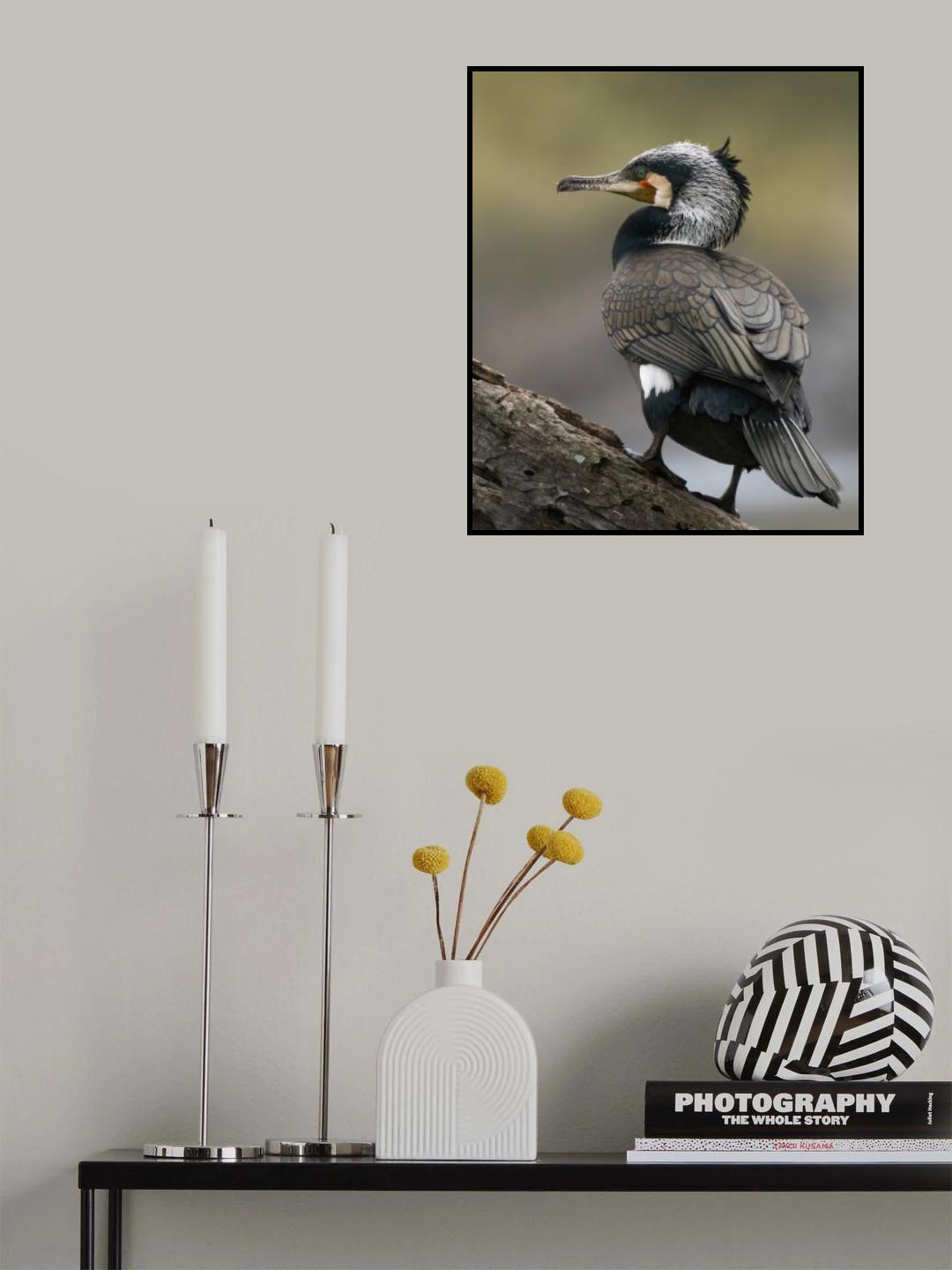 Cormorant Poster och Canvastavla