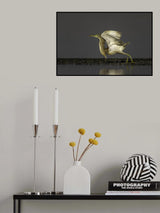Freedom Heron Poster och Canvastavla