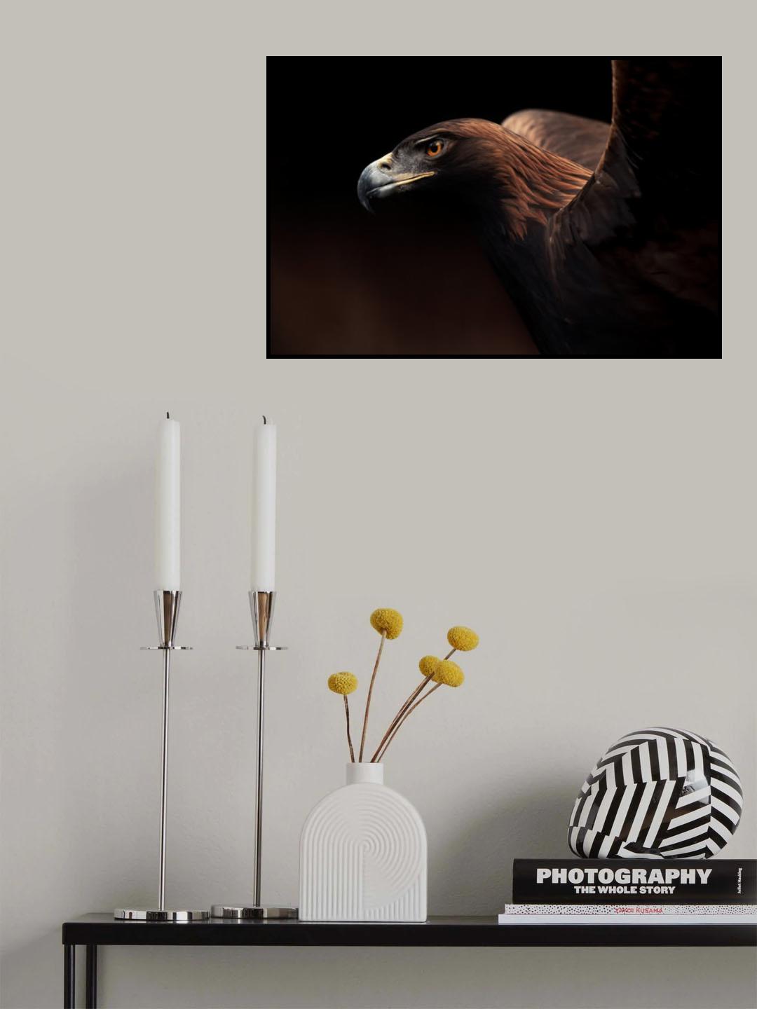 Golden Eagle portrait Poster och Canvastavla