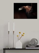 Golden Eagle portrait Poster och Canvastavla