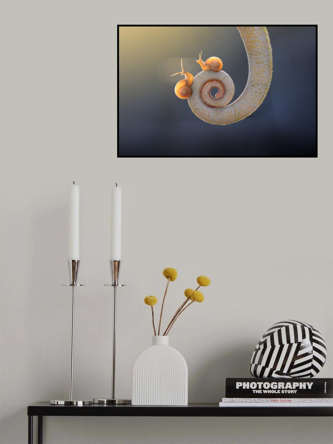 Snail - With You Poster och Canvastavla