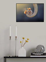 Snail - With You Poster och Canvastavla