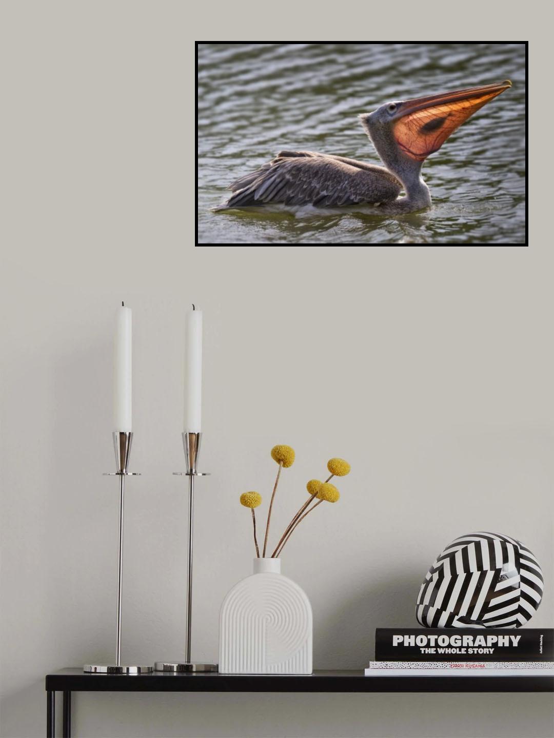 Fish Tank Poster och Canvastavla