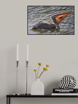Fish Tank Poster och Canvastavla