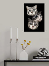 kisses Poster och Canvastavla