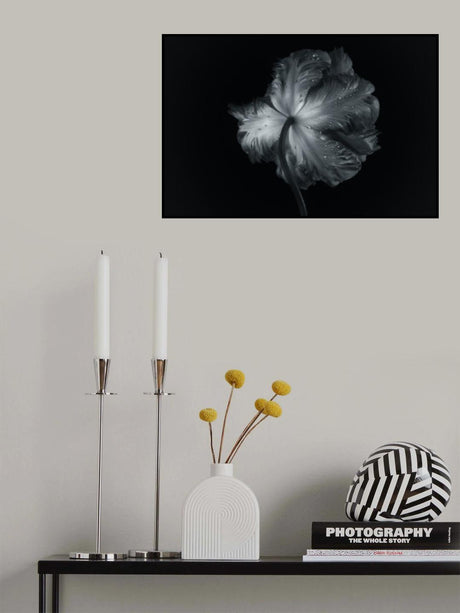 Shy Poster och Canvastavla