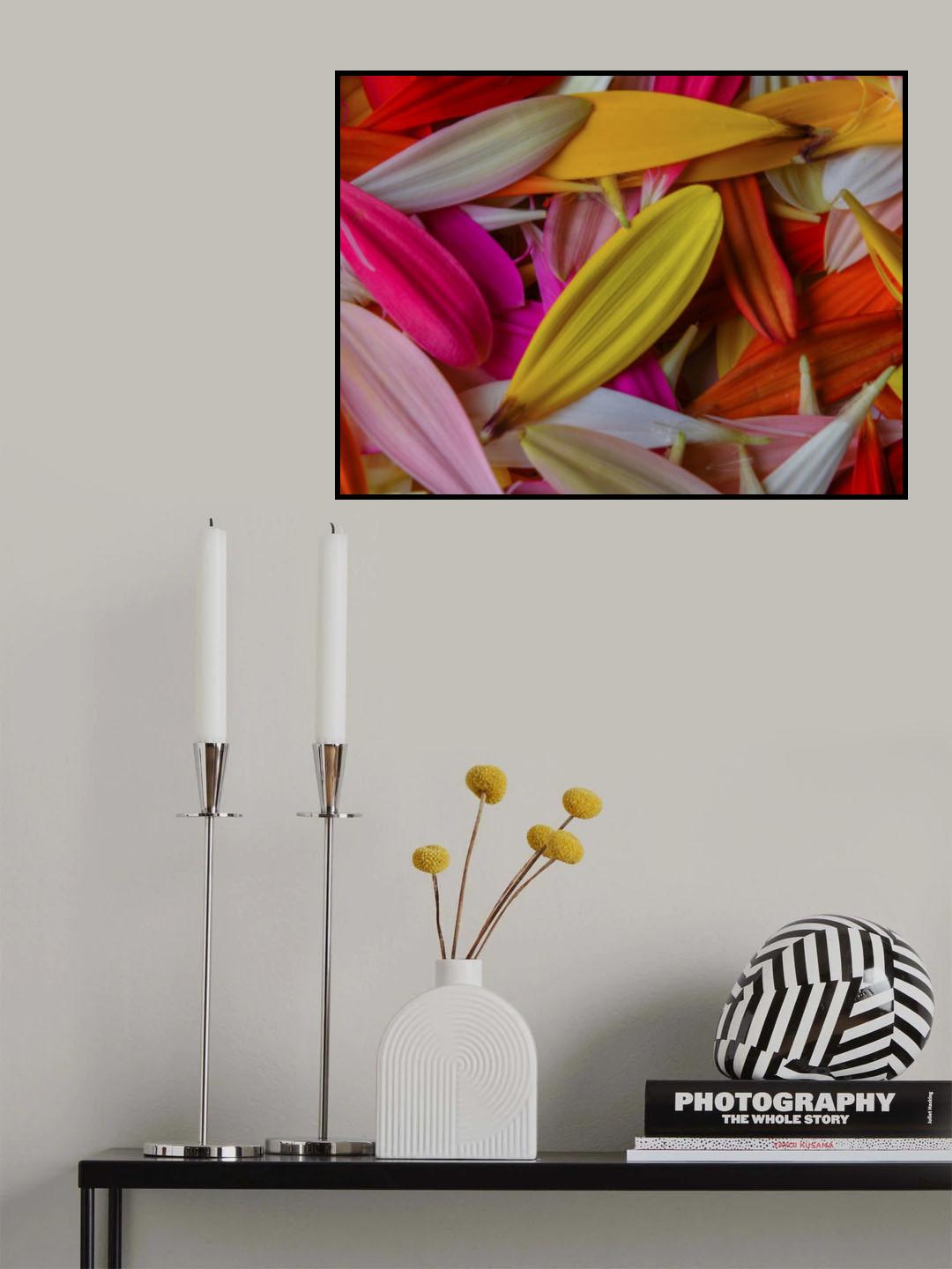 colorful flower petals Poster och Canvastavla