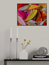 colorful flower petals Poster och Canvastavla