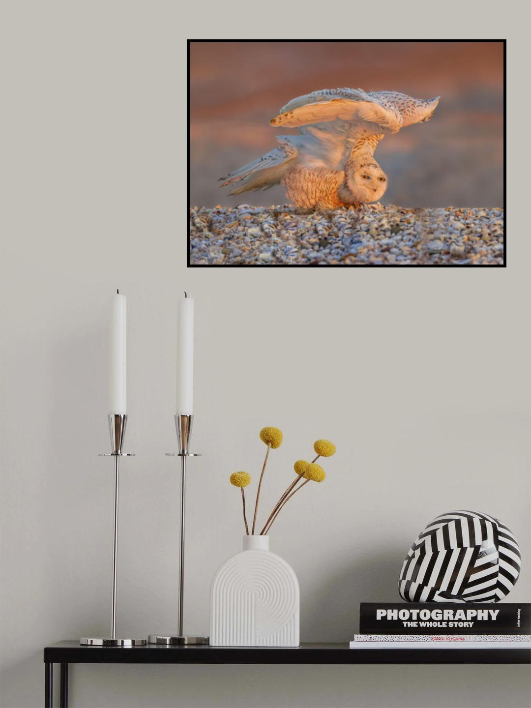 the Amazing Eyes Poster och Canvastavla