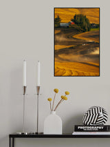 Busy Harvest Tractors Poster och Canvastavla