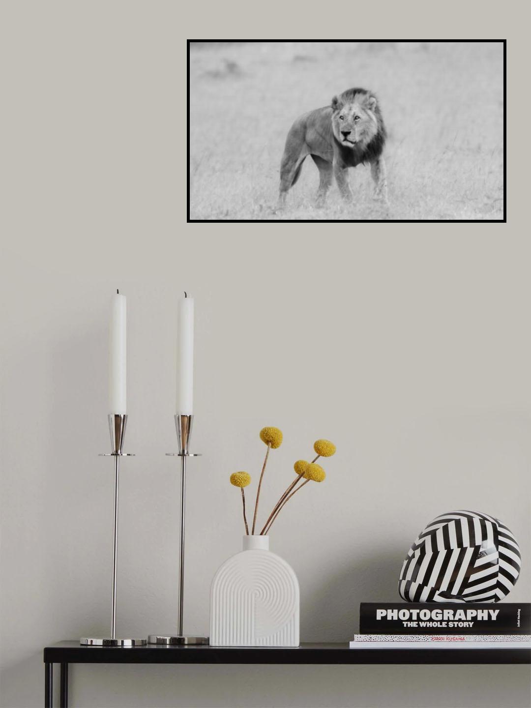lion Poster och Canvastavla