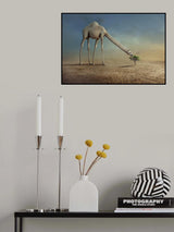 Camel and Tree Poster och Canvastavla