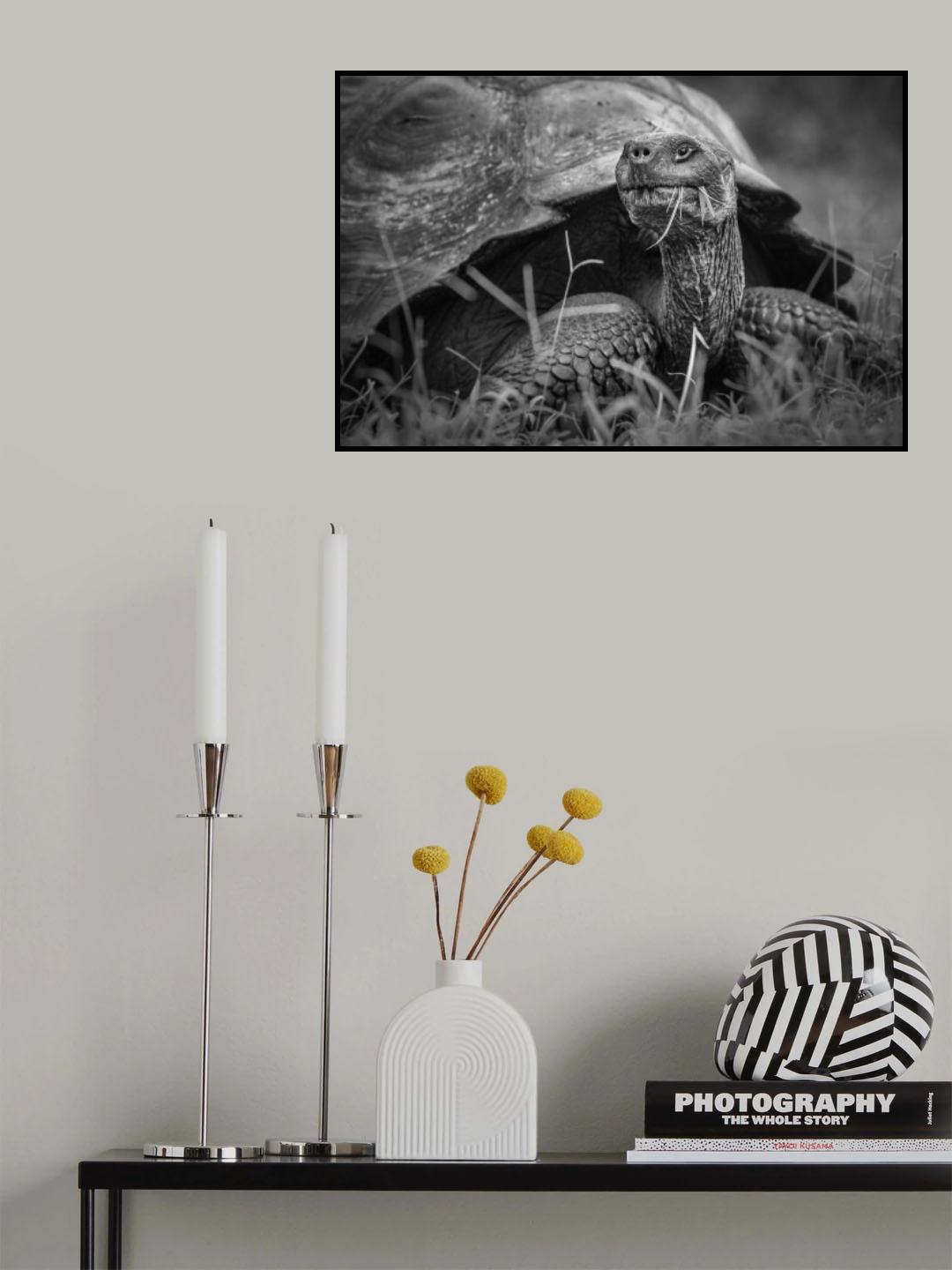 Old-Timer Poster och Canvastavla