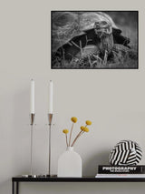 Old-Timer Poster och Canvastavla