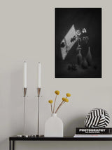 Light and Shade Poster och Canvastavla