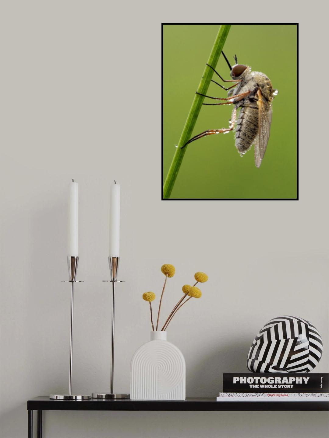 Wet Poster och Canvastavla