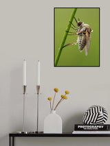 Wet Poster och Canvastavla
