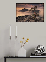 Bonsai Poster och Canvastavla
