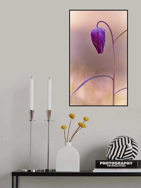 Fritillary Poster och Canvastavla